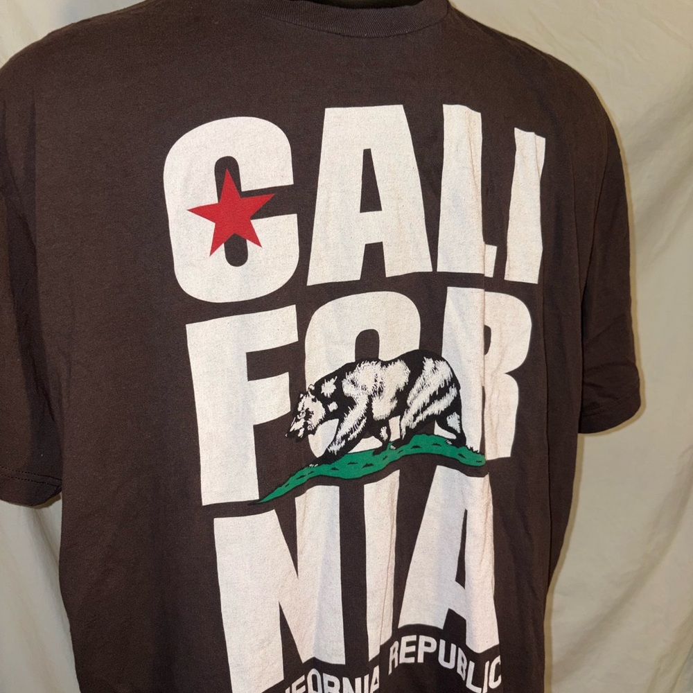 Y2K Hybrid Tees Skater T Shirt Brown California Republic Men's 2XL